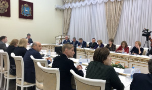 В Самаре эффективность реализации программ по развитию муниципальной службы признана высокой