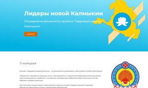 Участники проекта «Кадровый резерв Калмыкии» готовятся к финалу
