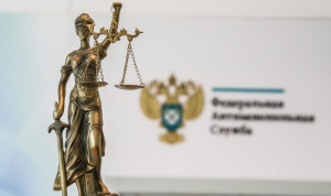Госслужащих Татарстана обучат управлению антимонопольными рисками в ФАС России