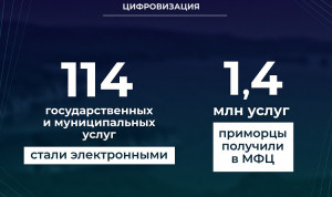 В Приморье более 110 государственных и муниципальных услуг переведены в электронный формат