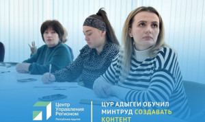 Семинар по коммуникациям в соцсетях провели специалисты ЦУР Адыгеи для Минтруда республики