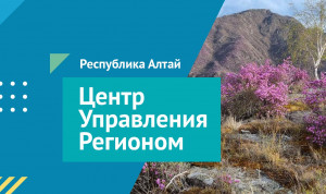Открытость министерств Республики Алтай в соцсетях проанализировали в республиканском ЦУР