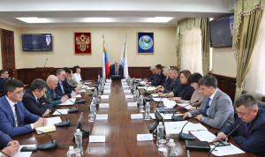 Цифровое развитие региона обсудили в Республике Алтай