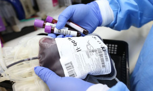 Госслужащие Крыма в очередной раз стали донорами крови