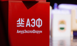Вопросы бережливого и проектного управления обсудят в Амурской области