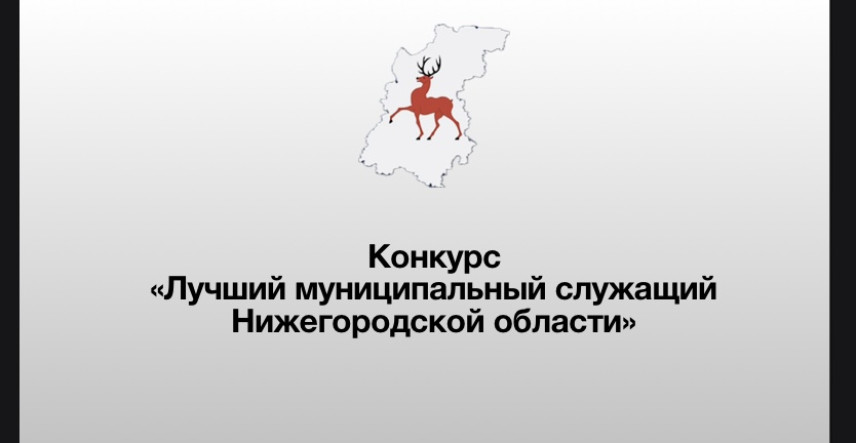 В Нижегородской области определят лучшего муниципального служащего