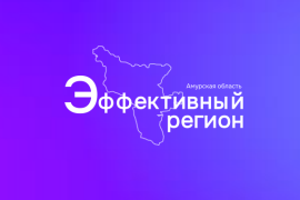 В&nbsp;Приамурье презентовали новые решения для ускорения работы органов власти