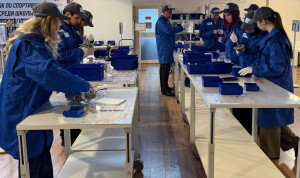 Госслужащие Дагестана приняли участие в тренинге на «Фабрике процессов»