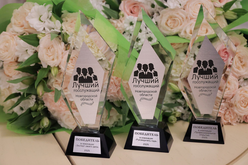 В Новгородской области чествовали победителей регионального конкурса «Лучший государственный гражданский служащий»