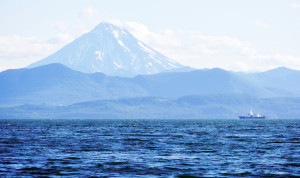 На Камчатке в конкуре «Лучший муниципальный служащий» участвуют 33 человека