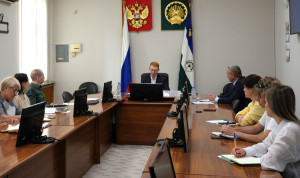Башкортостан продолжит развивать цифровые сервисы на муниципальном уровне
